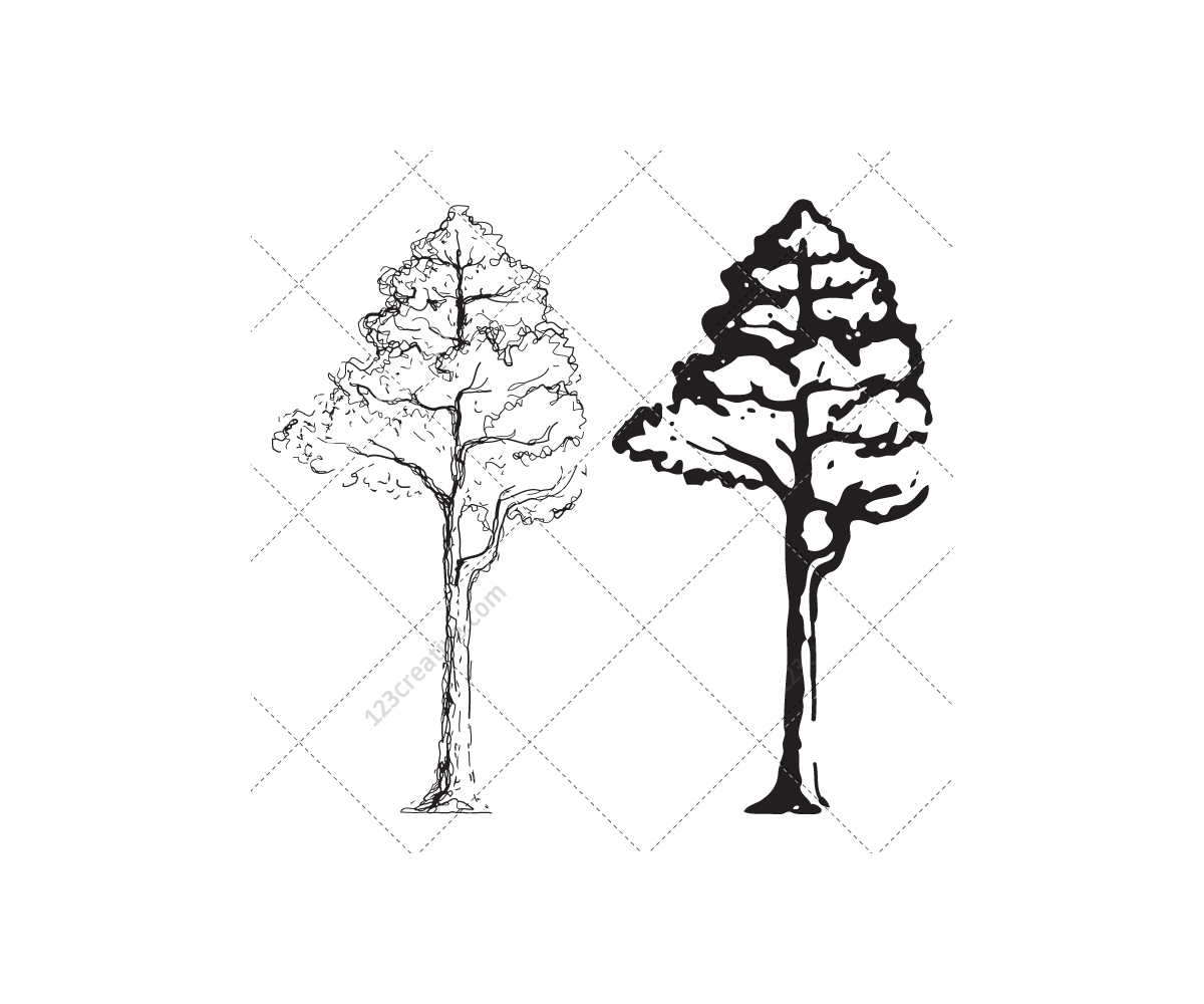 Sketch tree vector pack - drawing tree vectors tree 