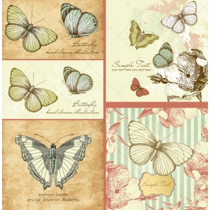 Vintage butterfly vector illustrations - drawing butterflies on vintage ...