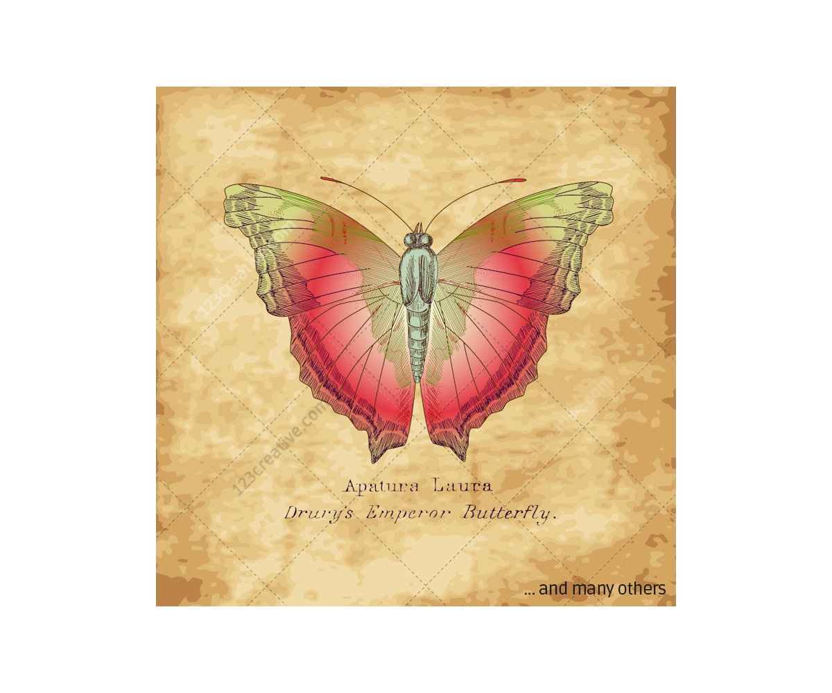 Free Free 143 Vintage Butterfly Svg SVG PNG EPS DXF File